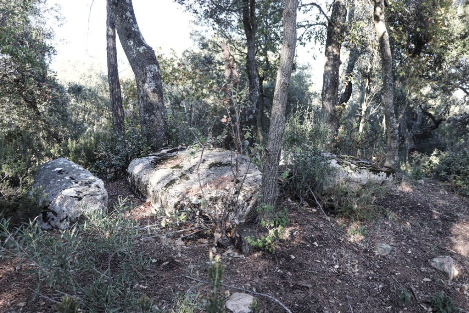 Imatge de les dues pedres del Dolmen. Font: Fotografia pròpia