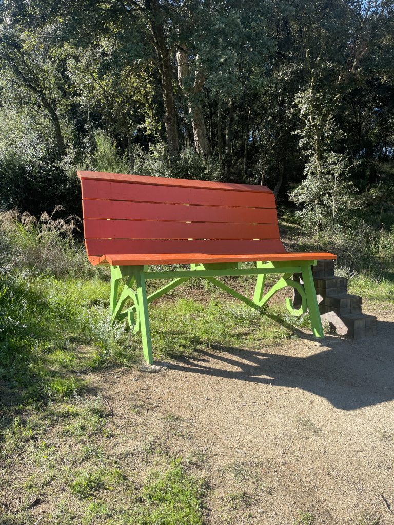 Vista lateral del banc gegant. Font: Fotografia pròpia