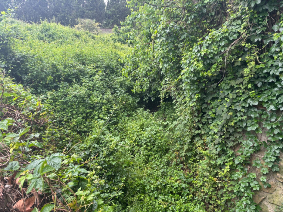 Imatge de la Riera de Trentapasses al seu punt a l'entrada del nucli urbà de Vilalba Sasserra. Font: Fotografia pròpia.