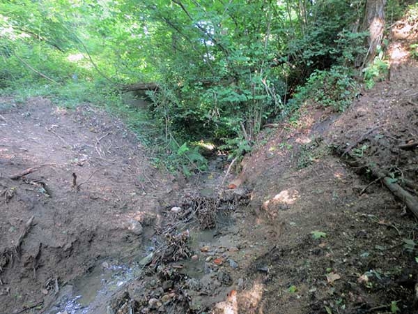 Imatge d'una part del Torrent de can Canal. Font: Fotografia pròpia. 