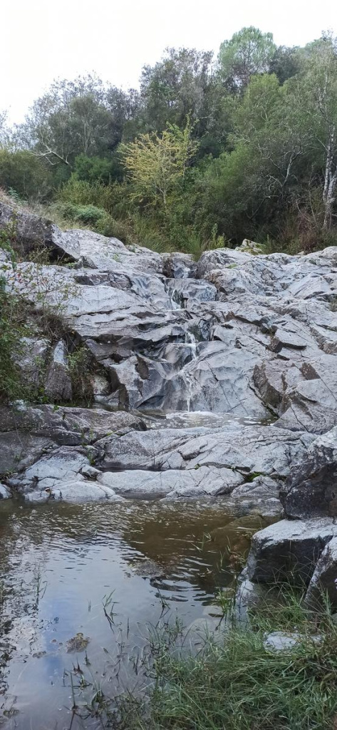 Riera d'Arenes amb una petita gorga. Font: Fotografia pròpia.