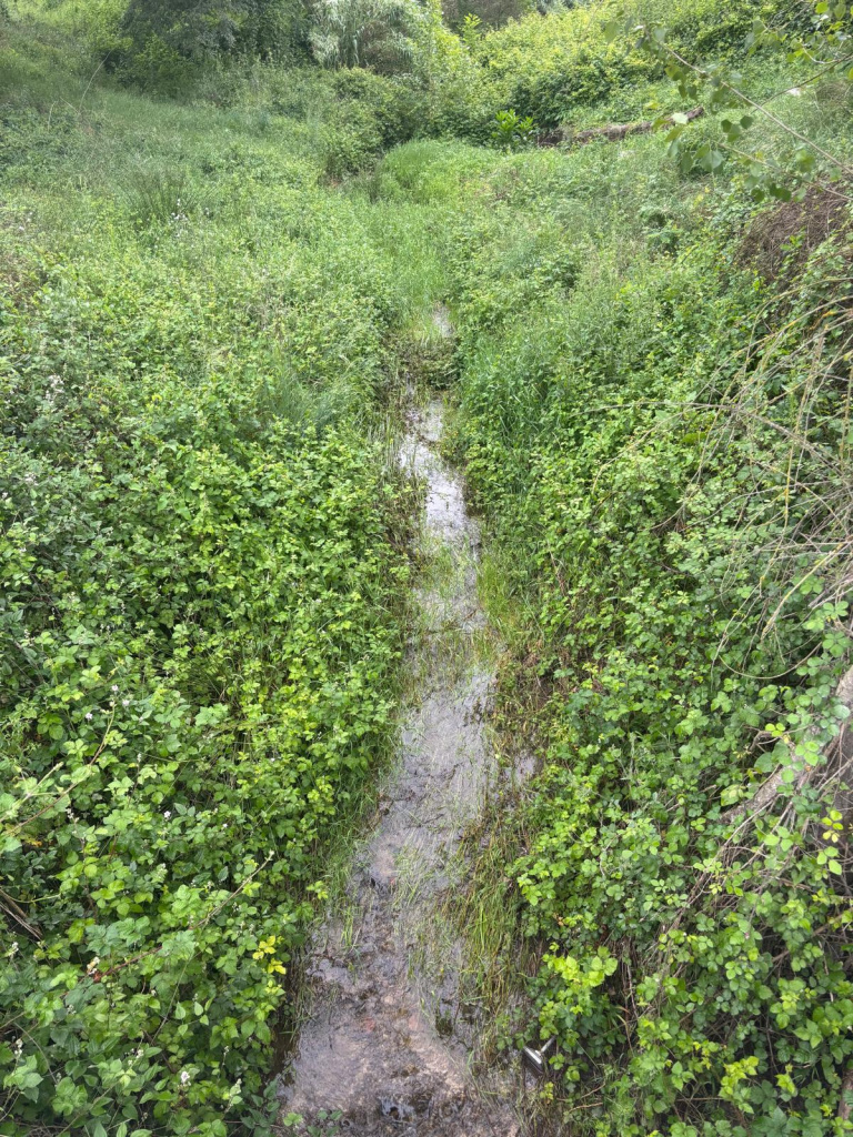 Petit transcurs del riu de la Riera d'Arenes. Font: Fotografia pròpia. 