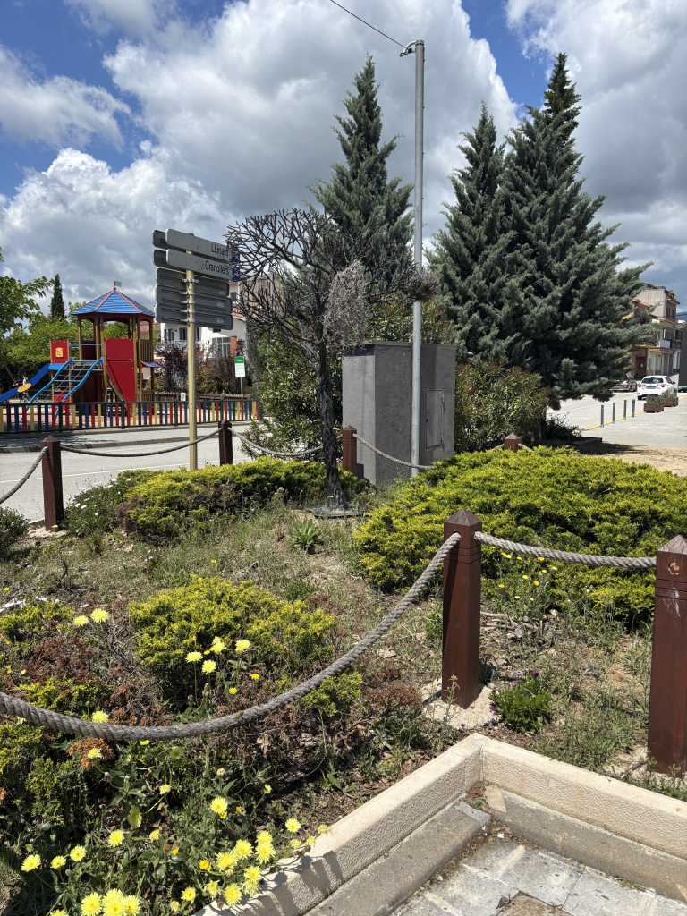 Emplaçament vallat per una corda i unes fites de fusta a l'entorn de l'arbre de la Vida. Font: Fotografia pròpia
