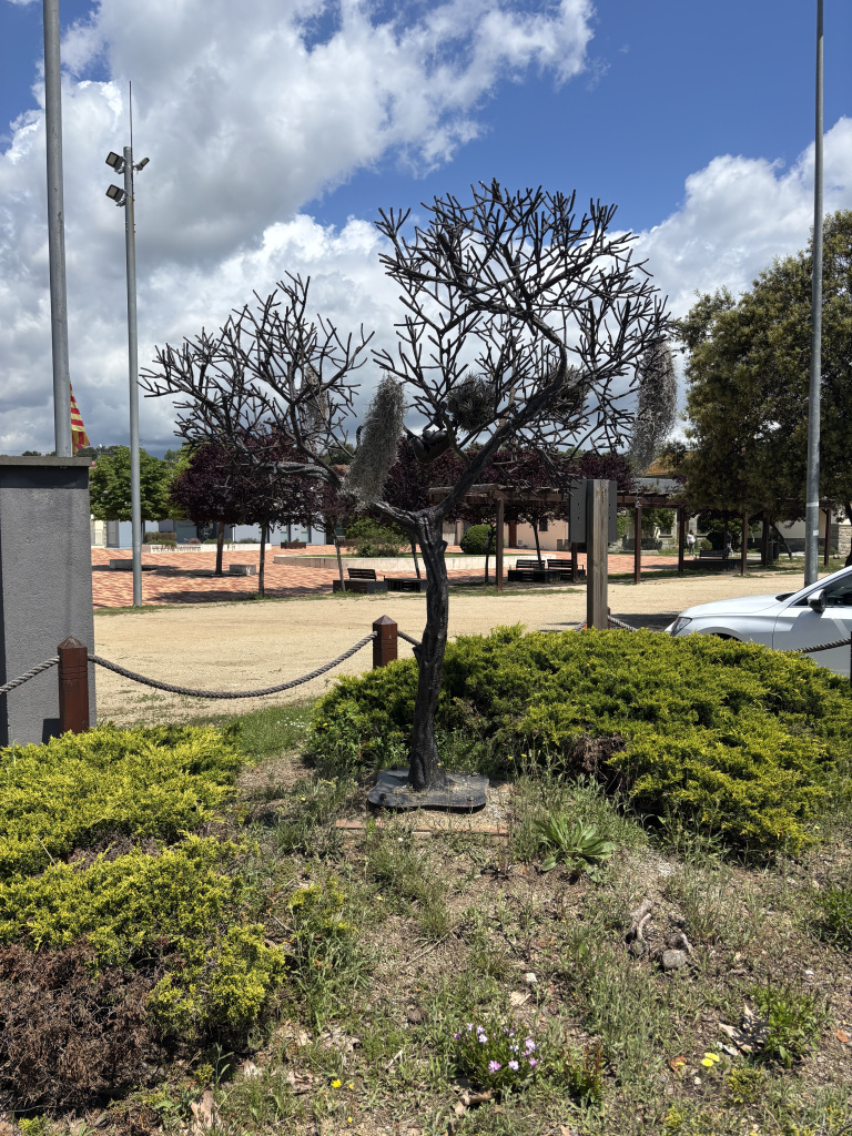 Imatge lateral de l'arbre de la Vida. Font: Fotografia pròpia