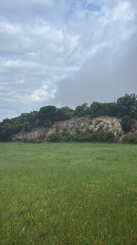 La Pedrera d'en Llobers es troba al costat del camí que va en direcció a l'església vella de Santa Maria. Font: Fotografia pròpia.