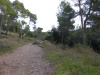 Sender blau. Camí de Can Prat al Torrent dels Abeuradors.