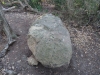 Pedra amb inscultures a Collserola (Coll de la Vinyassa).