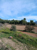 Vista d'una de les parcel·les agrícoles.