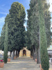 Cementiri de Sant Vicenç de Montalt. Avinguda principal amb els xiprers a banda i banda i la capella al fons. 